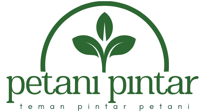 Petanipintar.com